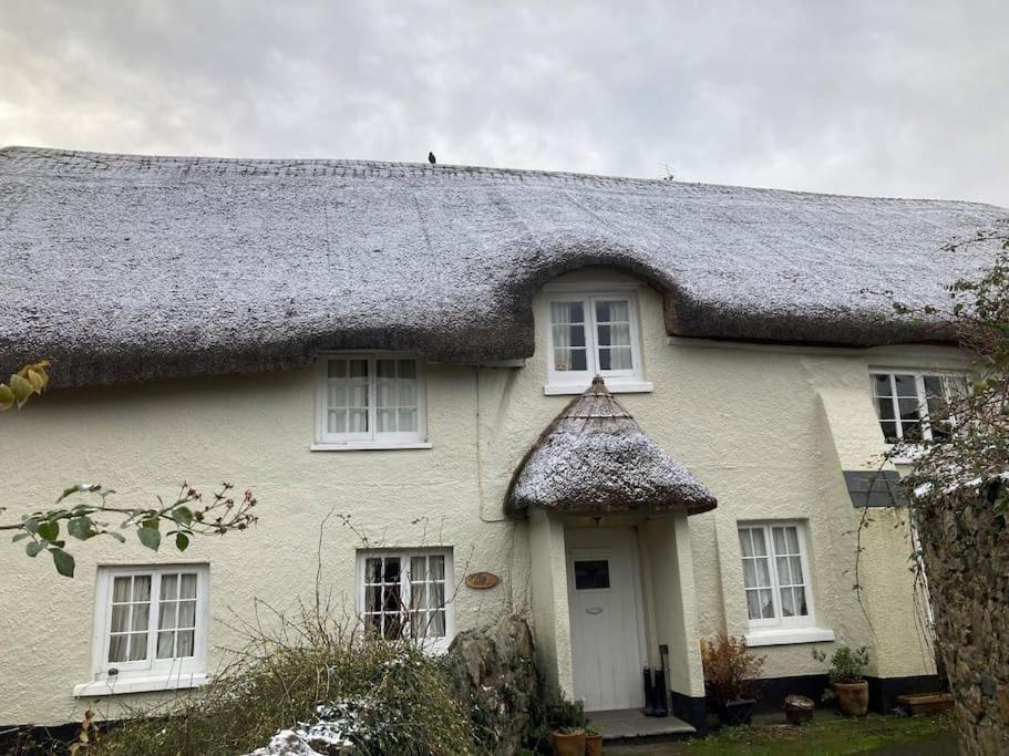 Vila Little Reeds Bovey Tracey Exteriér fotografie